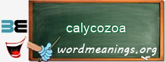WordMeaning blackboard for calycozoa